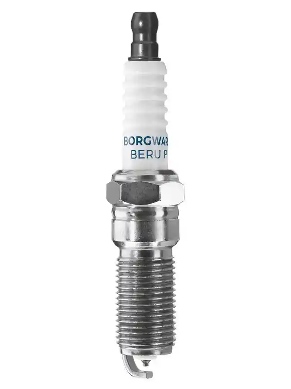 BorgWarner (BERU) Z517