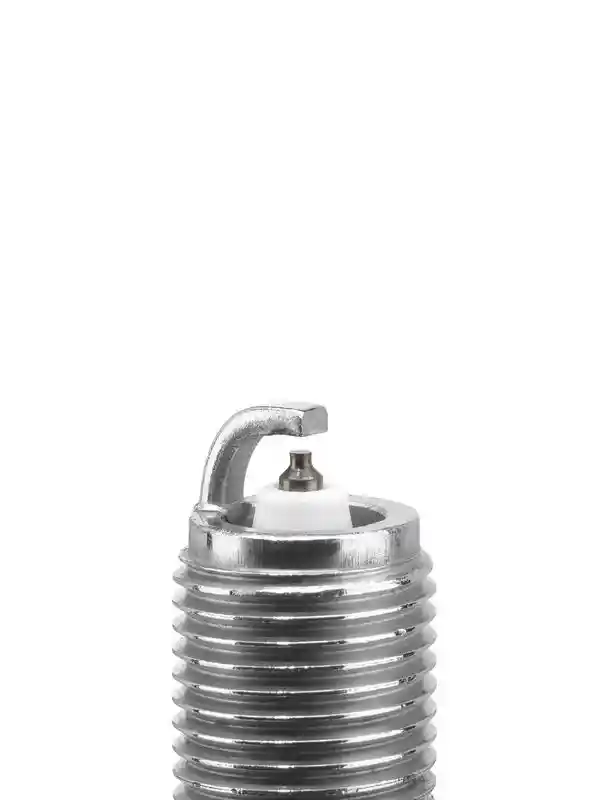 BorgWarner (BERU) Z517