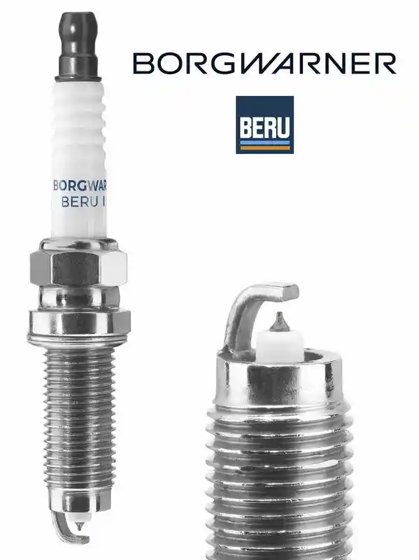 BorgWarner (BERU) Z547