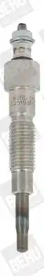 BorgWarner (BERU) GN075