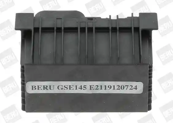 BorgWarner (BERU) GSE145