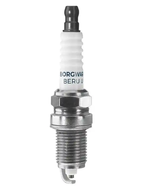 BorgWarner (BERU) Z158