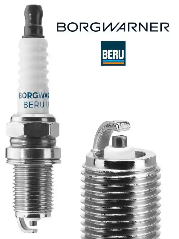 BorgWarner (BERU) Z16