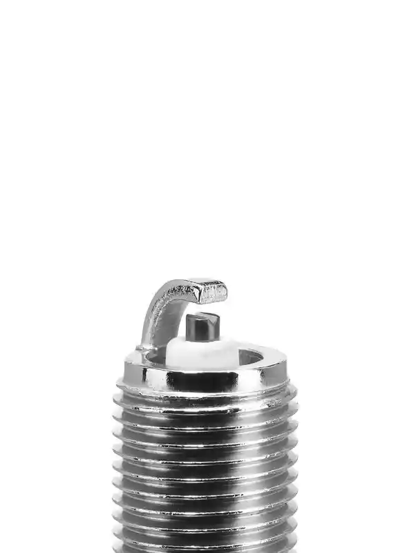 BorgWarner (BERU) Z16