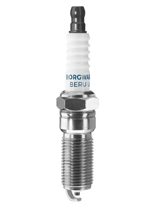 BorgWarner (BERU) Z177