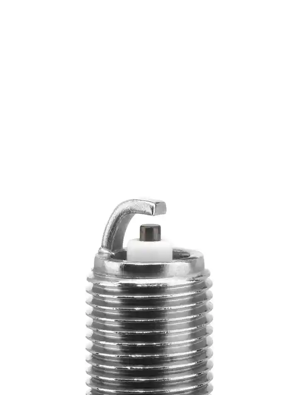 BorgWarner (BERU) Z177