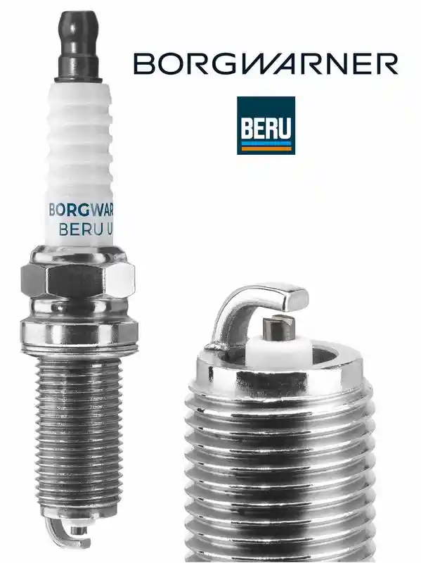 BorgWarner (BERU) Z184