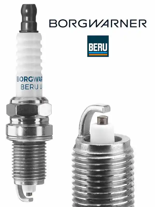 BorgWarner (BERU) Z203