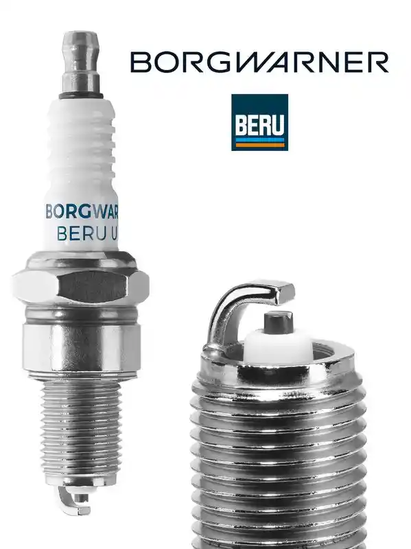 BorgWarner (BERU) Z27