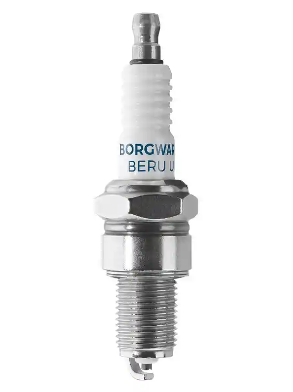 BorgWarner (BERU) Z27