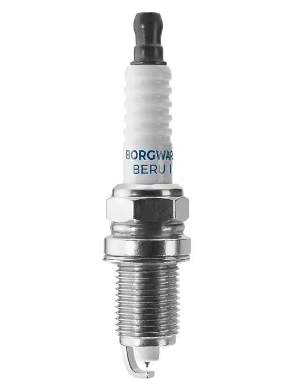 BorgWarner (BERU) Z346