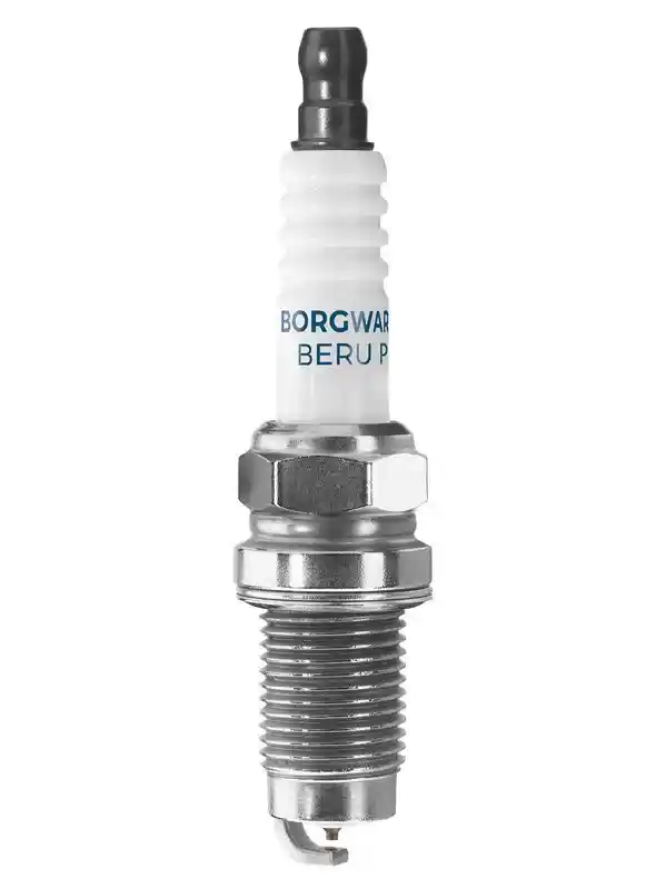 BorgWarner (BERU) Z349