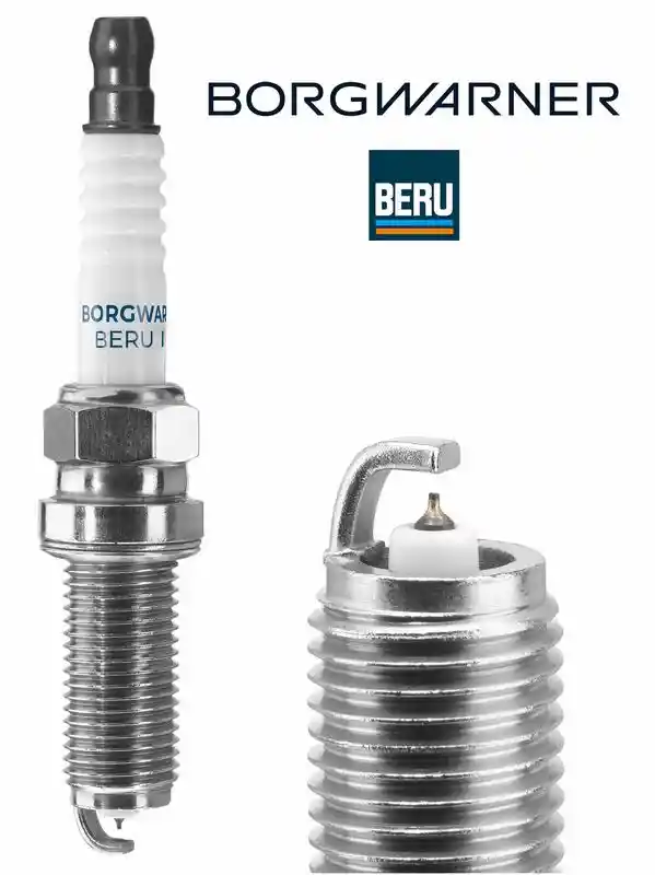 BorgWarner (BERU) Z370