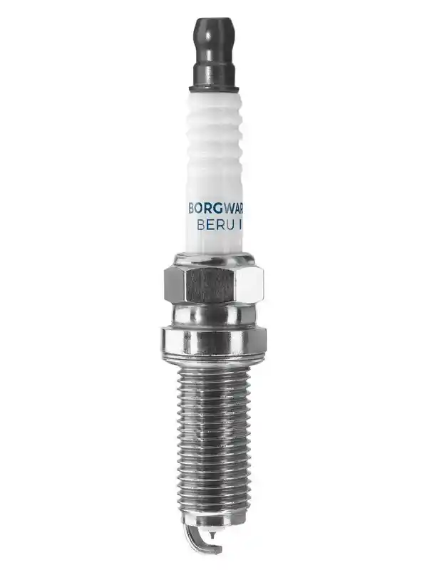 BorgWarner (BERU) Z370