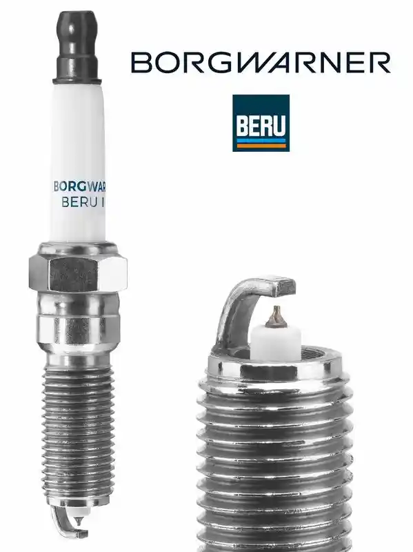 BorgWarner (BERU) Z376