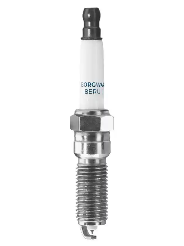 BorgWarner (BERU) Z376