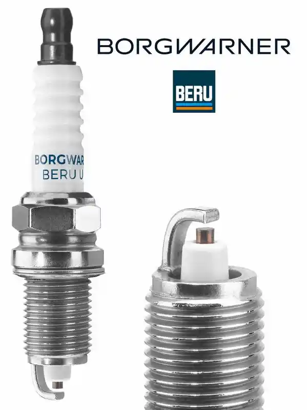 BorgWarner (BERU) Z506