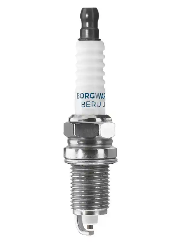 BorgWarner (BERU) Z506