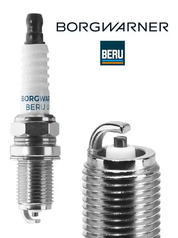 BorgWarner (BERU) Z513
