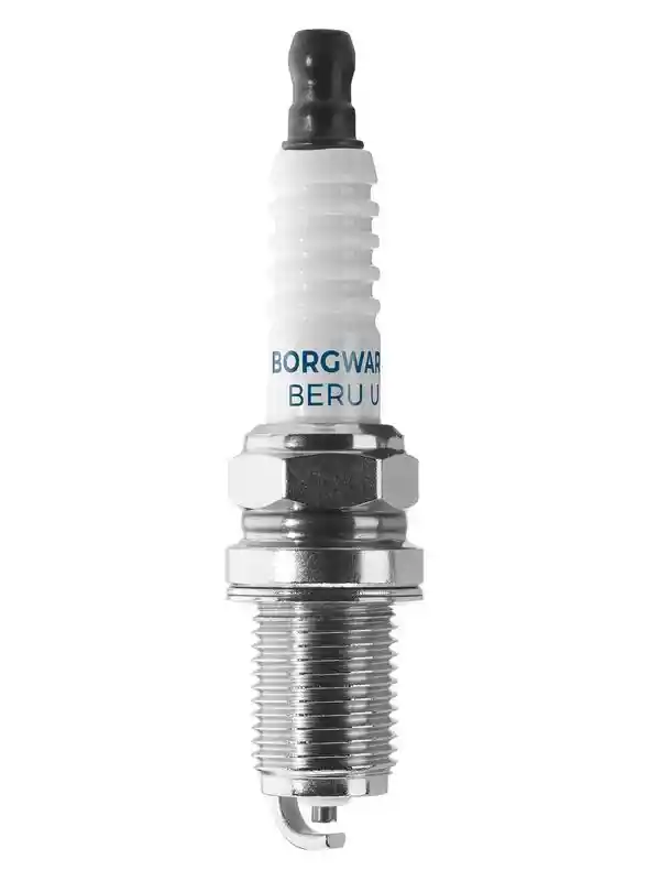 BorgWarner (BERU) Z513