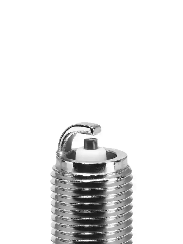 BorgWarner (BERU) Z513
