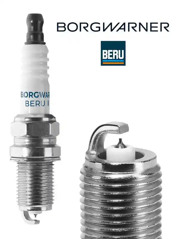 BorgWarner (BERU) Z527