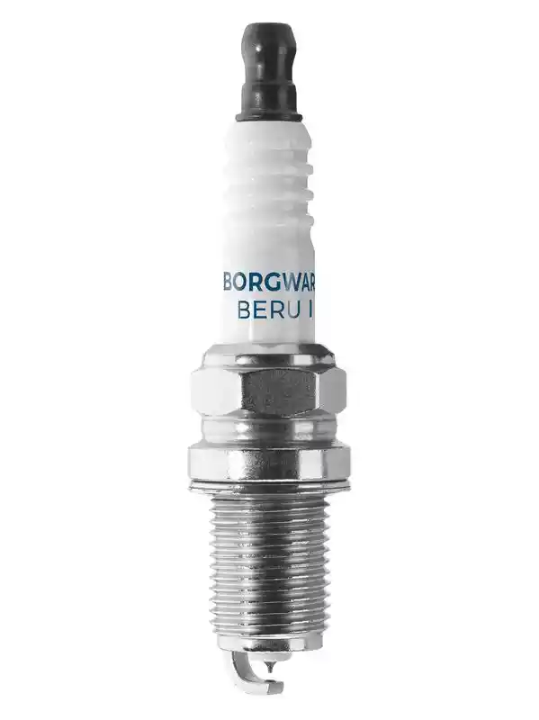 BorgWarner (BERU) Z527
