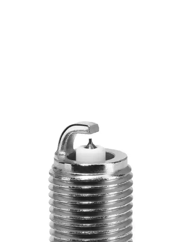 BorgWarner (BERU) Z527