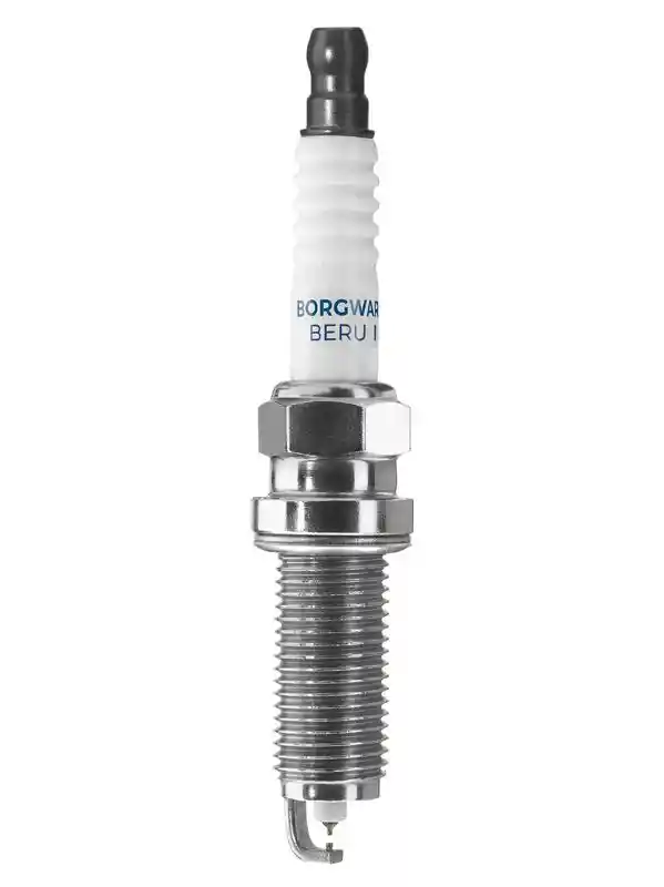 BorgWarner (BERU) Z543