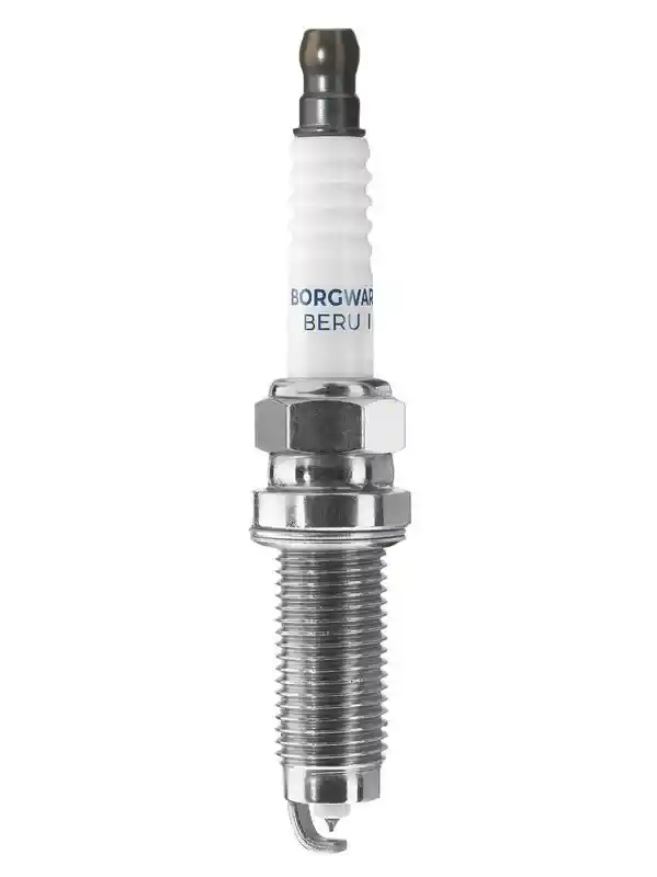BorgWarner (BERU) Z547
