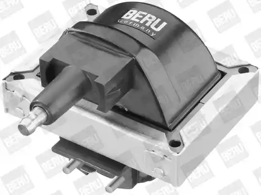 BorgWarner (BERU) ZS316 BorgWarner (BERU) ZS316