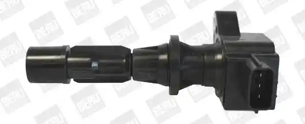 BorgWarner (BERU) ZS488