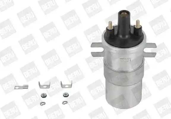 BorgWarner (BERU) ZS563