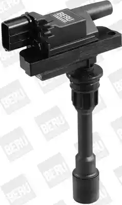 BorgWarner (BERU) ZSE083