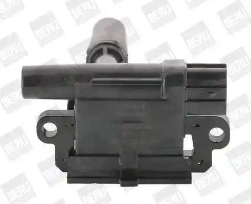 BorgWarner (BERU) ZSE136