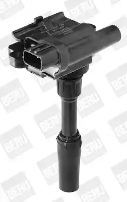 BorgWarner (BERU) ZSE136