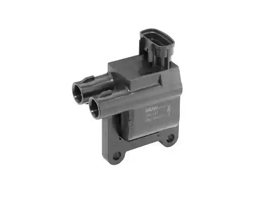 BorgWarner (BERU) ZSE197