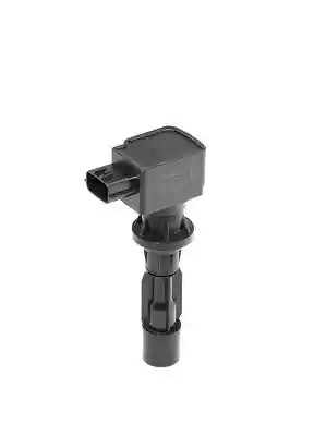 BorgWarner (BERU) ZSE217