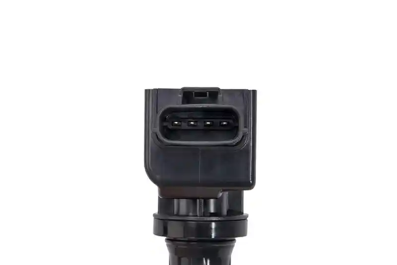 BorgWarner (BERU) ZSE239