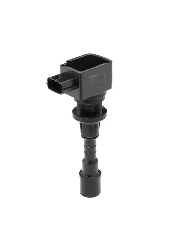 BorgWarner (BERU) ZSE244