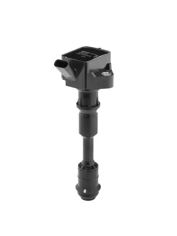 BorgWarner (BERU) ZSE294