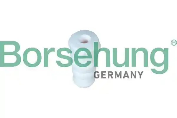 Borsehung B10016