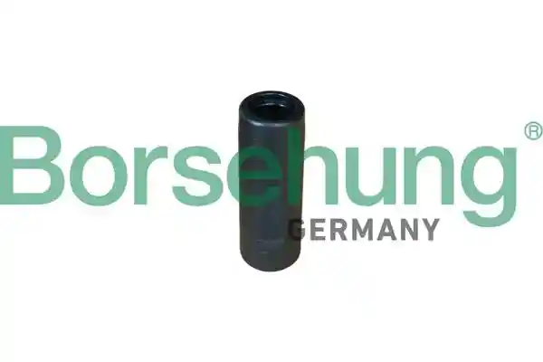 Borsehung B10151