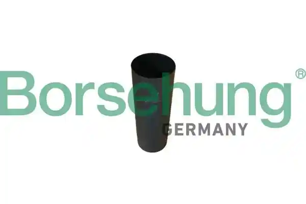 Borsehung B10151