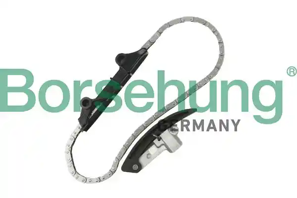 Borsehung B10209