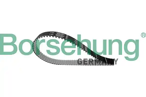 Borsehung B10229