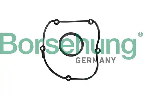 Borsehung B10627