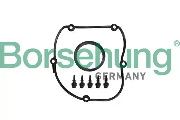 Borsehung B10629