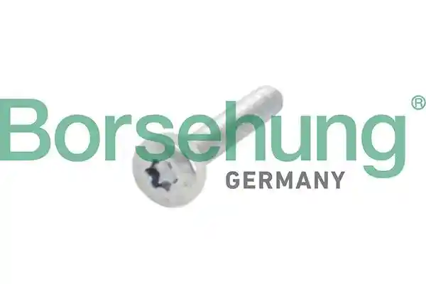 Borsehung B10634
