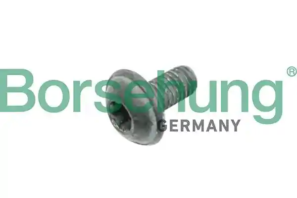 Borsehung B10635